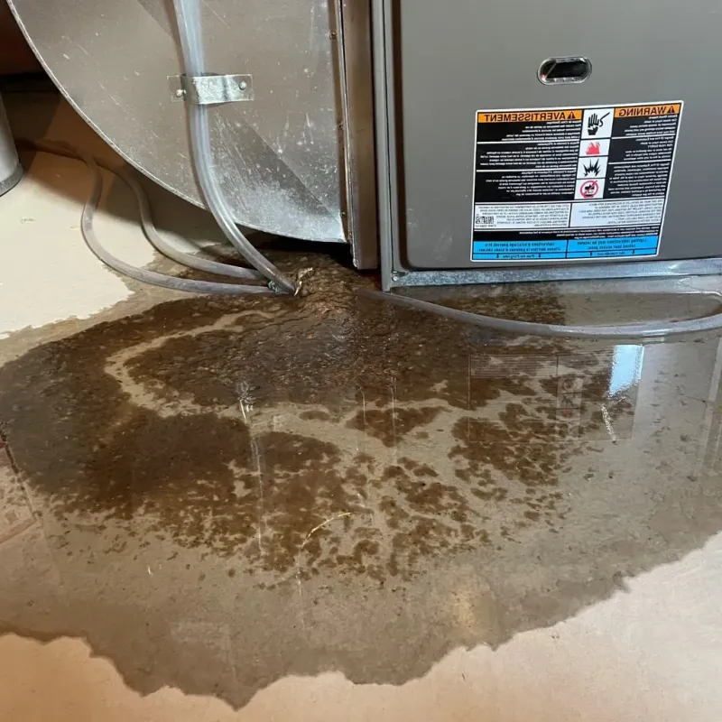 Pipe Burst and Leak Restoration in Bowling Green, MD