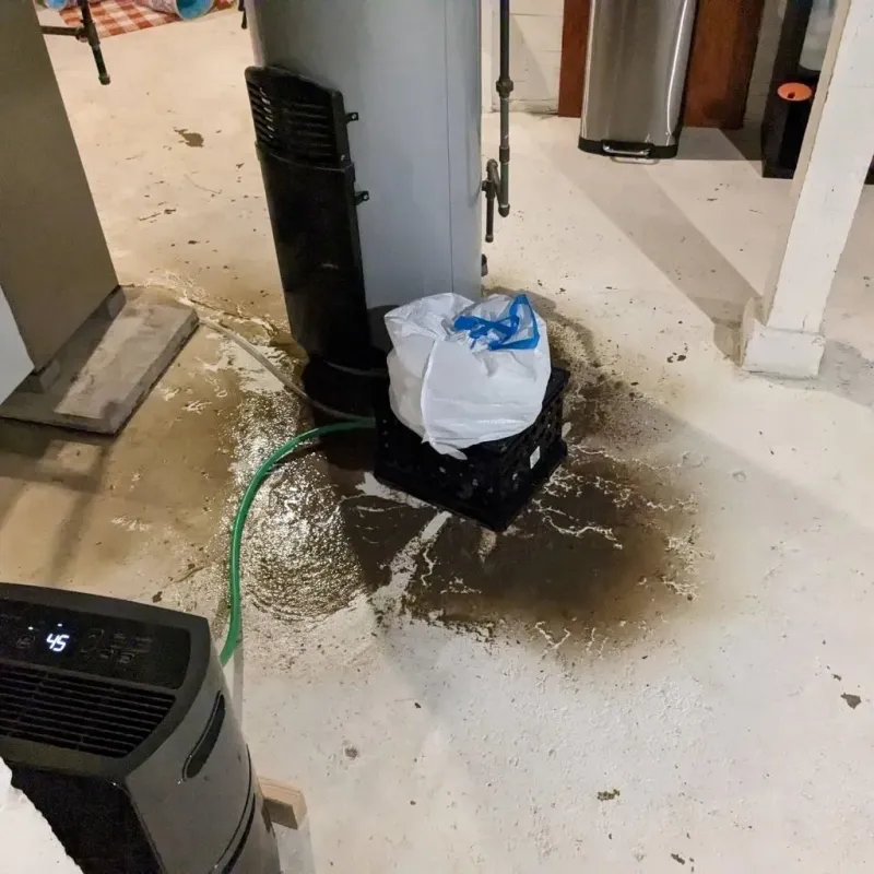 Sewage Backup Cleanup Service in Bowling Green, MD